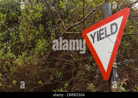 Dublin, Irland - 24. Februar 2024: Foto eines rot-weißen irischen Ertragszeichens unter vielen Bäumen. Stockfoto