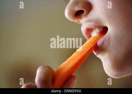 Ernten Sie anonymes Teenager-Mädchen, das frische Bio-Karottenscheiben isst Stockfoto