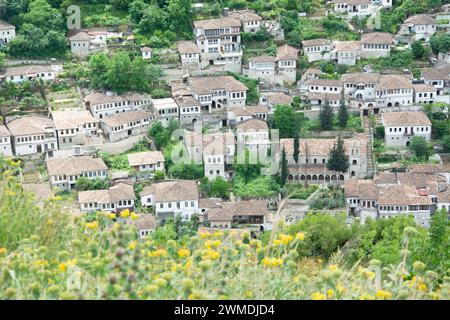 Blick vom Festungshügel auf die Altstadt von Berat, Weltkulturerbe Stockfoto