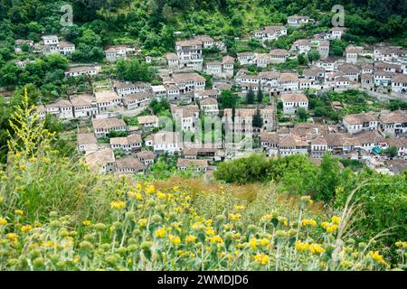 Blick vom Festungshügel auf die Altstadt von Berat, Weltkulturerbe Stockfoto
