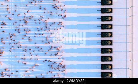Luftaufnahme von Militärpanzern und marschierenden Soldaten in einer gemusterten Formation Stockfoto