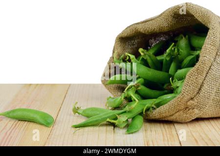 Frische Schoten grüner Erbsen aus dem Sack verstreut. Isolierung auf weißem Hintergrund ohne Schatten. Nahaufnahme. Landwirtschaft. Gesunde Ernährung. Stockfoto