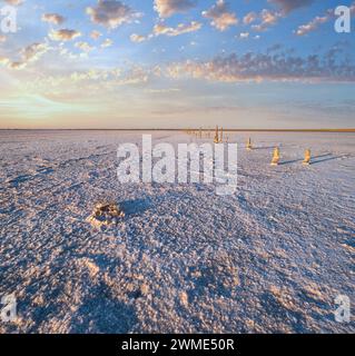 Sonnenuntergang auf dem Genichesk rosa extrem salzigen See (gefärbt von Mikroalgen mit kristallinen Salzabfall), Ukraine. Stockfoto
