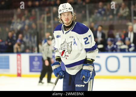 Mississauga, Kanada. Februar 2024. 25. Februar 2024, Mississauga Ontario Canada, die Mississauga Steelheads schlugen die Sudbury Wolves 4-3 in Reglement. Quelle: Luke Durda/Alamy Live News Stockfoto