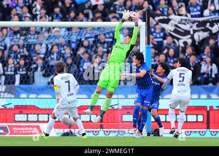 Machida Gion Stadium, Tokio, Japan. Februar 2024. Kosei Tani (Zelvia), 24. FEBRUAR 2024 - Fußball/Fußball: Spiel der J1 League 2024 zwischen dem FC Machida Zelvia 1-1 Gamba Osaka im Machida Gion Stadium, Tokio, Japan. Quelle: Naoki Nishimura/AFLO SPORT/Alamy Live News Stockfoto