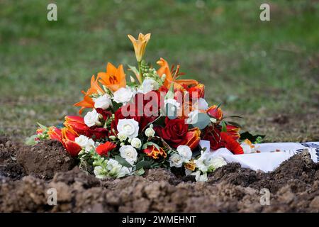 Ein Blumenarrangement mit weißen und roten Rosen, Feuerlilien und einem Trauerband liegt auf der Erde eines frischen Grabes auf einem Friedhof Stockfoto