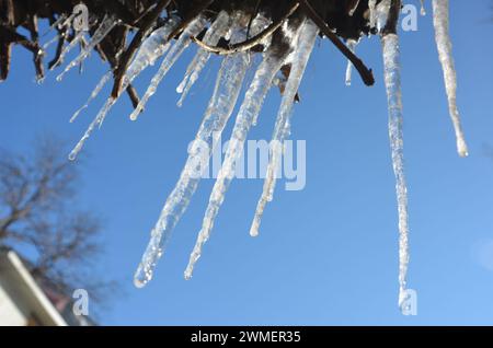 Gefrorene Pfeife (Frostbilder) bei starkem Schneefall in hügeligen Gebieten Stockfoto