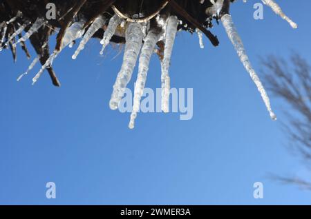 Gefrorene Pfeife (Frostbilder) bei starkem Schneefall in hügeligen Gebieten Stockfoto