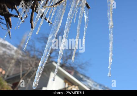 Gefrorene Pfeife (Frostbilder) bei starkem Schneefall in hügeligen Gebieten Stockfoto