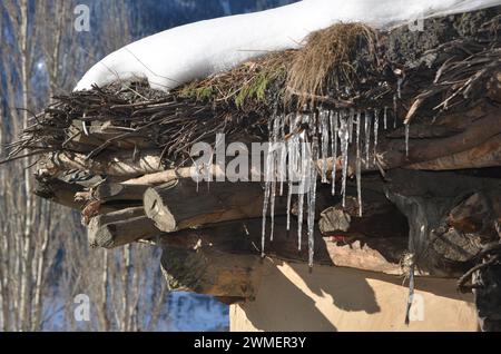 Gefrorene Pfeife (Frostbilder) bei starkem Schneefall in hügeligen Gebieten Stockfoto