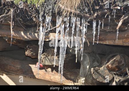 Gefrorene Pfeife (Frostbilder) bei starkem Schneefall in hügeligen Gebieten Stockfoto