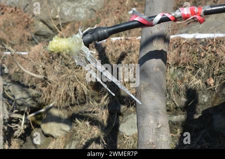 Gefrorene Pfeife (Frostbilder) bei starkem Schneefall in hügeligen Gebieten Stockfoto