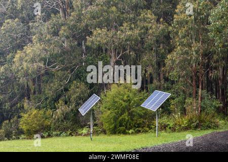 Zwischen dem dichten Laub stehen zwei Solarpaneele hoch, die die Sonnenenergie effizient nutzen. Stockfoto