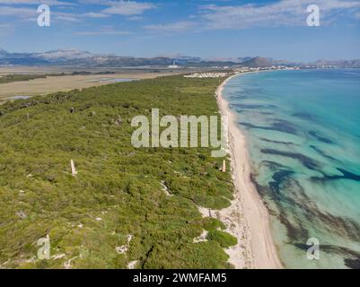 Es Comú, Àrea Natural d'Especial Interès, im Naturpark von s'Albufera, Muro, bahía de Alcúdia, Mallorca, Balearen, Spanien Stockfoto