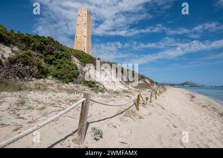 Hauptpunkte, Es Comú, Àrea Natural d'Especial Interès, im Naturpark S'Albufera, Muro, Bahía de Alcúdia, Mallorca, Balearen I Stockfoto