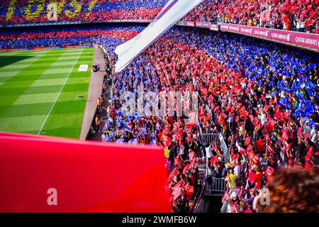 FANS, BARCELONA FC, TITELFEIER 2015: Barcelona Fans im Camp Nou feiern den Sieg des La Liga Titels in Stil mit Vereinsfarben. Das letzte Spiel der Saison 2014-15 in Spanien zwischen Barcelona FC und Deportivo de La Coruna im Camp Nou, Barcelona am 23. Mai 2015. Das Spiel endete mit 2:2. Barcelona feierte den Sieg des Meisterschaftstitels und das letzte Heimspiel von Legende Xavi. Deportiva bekam den Punkt, den sie brauchten, um Abstieg zu vermeiden. Foto: Rob Watkins Stockfoto