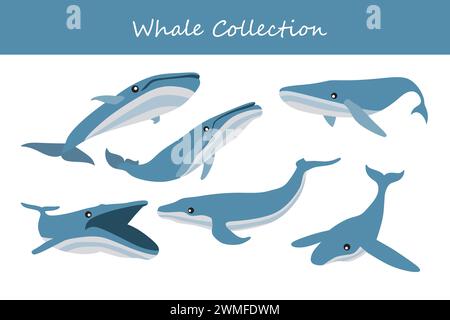 Whale Vector Illustrations Set. Niedlicher Zeichentrickwal in verschiedenen Posen. Stock Vektor