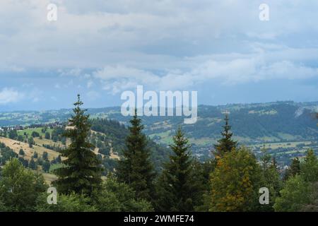 Natur im polnischen Tatra-Gebirge im Frühjahr. Fichtenbäume vor dem Hintergrund der Berge. Hochwertige Fotos Stockfoto