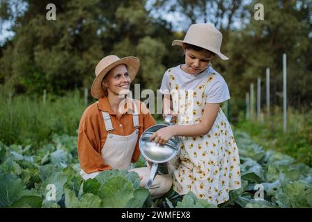 Tochter, die einer Farmerin hilft, Kohl auf dem Feld mit der Gießkanne zu wringen. Bauer in Overalls und Mädchen im Sommer bekleiden Kohlbewässerung. Stockfoto
