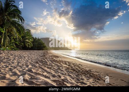 Blick über einen Strand, die Küste und das Meer bei Sonnenuntergang. Im Vordergrund der leere Sandstrand Grande Anse, Basse Terre, Guadeloupe, Französische Antillen Stockfoto