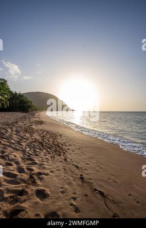 Blick über einen Strand, die Küste und das Meer bei Sonnenuntergang. Im Vordergrund der leere Sandstrand Grande Anse, Basse Terre, Guadeloupe, Französische Antillen Stockfoto