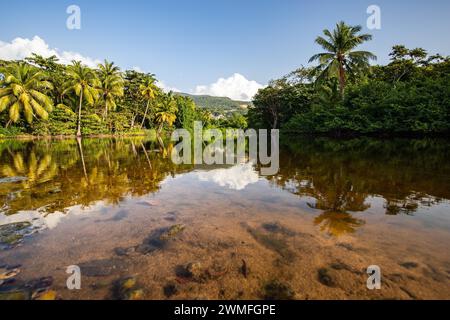 Blick auf einen Flussarm, eine tropische Mangrovenlandschaft und die natürliche Umgebung von Grande Anse Beach, Basse Terre, Guadeloupe und den Französischen Antillen Stockfoto