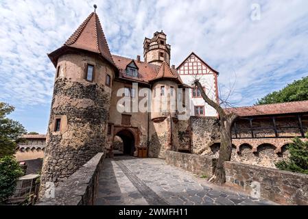 Brunnenhaus im 3. Torhaus, Donjon, neue Laube, Zinnen von Zwinger und Zyngel, Brücke über den Nackengraben, Vorburg, Schloss Ronneburg Stockfoto