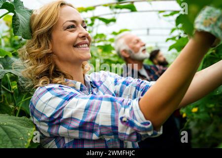 Ein Team aus multikulturellen männlichen und weiblichen Landwirten, die in ökologischem Landbau ernten und arbeiten Stockfoto