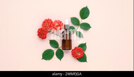 Ätherisches Serumöl in bernsteinfarbener Tropfflasche mit silbernem Verschluss auf cremefarbenem Hintergrund. Glasfläschchen mit Pipette und Rosenblüten, Draufsicht. Schönheitsprodukt Stockfoto