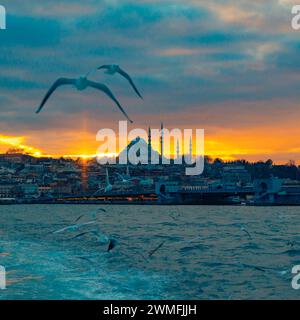 Istanbul Hintergrund quadratisches Foto. Suleymaniye-Moschee und Möwen bei Sonnenuntergang. Stockfoto