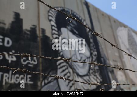 © Manoel Penicaud/Le Pictorium/MAXPPP - 06/08/2015 Manoel Penicaud/Le Pictorium - 06/08/2015 - - Mur de Separation a Bethleem - /06/08/2015 - - Credit: MAXPPP/Alamy Live News Stockfoto