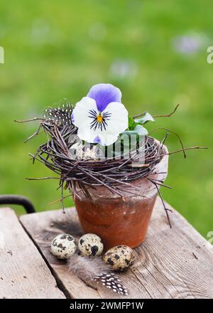 Vintage-floristisches Arrangement mit blauer, weißer Gartenstiefmütterchenblüte in einem alten Terrakotta-Topf. (Viola wittrockiana) Gartendekoration für den Osten. Stockfoto