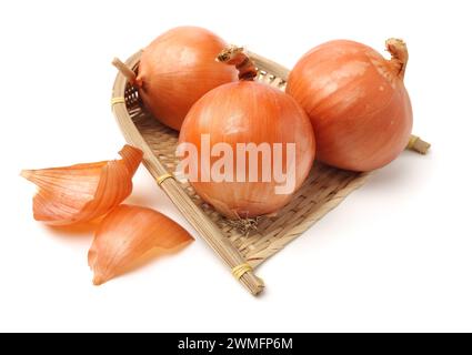 Goldene Zwiebelzwiebeln auf weißem Hintergrund Stockfoto