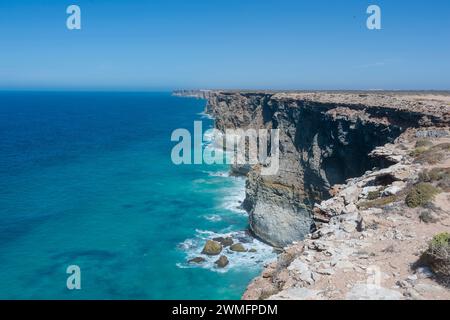 Malerische Ausblicke auf Head of Bight und Bunda Cliffs sind eine Touristenattraktion in Nullarbor, South Australia, SA, Australien Stockfoto