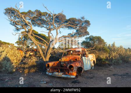 Ein altes, rostiges Auto wurde in der Nähe des Old Eyre Highway bei Koonalda Homestead, Nullarbor, South Australia, SA, Australien verlassen Stockfoto