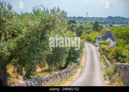 Straße nach Apulien. Straße zwischen Olivenbäumen und typischen Trulli-Häusern Stockfoto