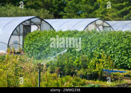 Ein Sprinkler, der Wasser in einem Garten sprüht Stockfoto