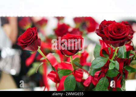 Ein Haufen roter Rosen. Nahaufnahme. Stockfoto
