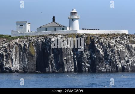 Leuchtturm auf den Farne-Inseln Stockfoto