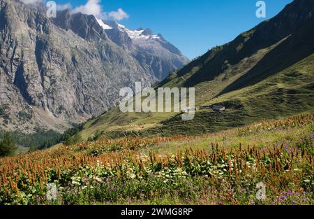 Das Val Ferret Tal in Italien und die Gipfel Les Courtes, Aiguille de Triolet und Mt. Dolent - Trekking Mont Blank. Stockfoto