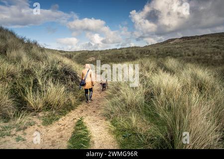 Ein Hundeschlittenläufer, der einen Hund auf einem sandigen Fußweg durch das riesige Sanddünen-System am Holywell Beach in Newquay in Cornwall in Großbritannien führt. Die Dünen Stockfoto