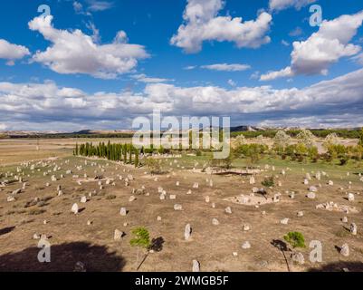 Nekropole von 'Las Ruedas', antike Vaccea-Stadt Pintia, Padilla de Duero, Provinz Valladolid, Spanien Stockfoto