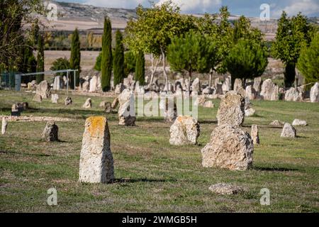 Nekropole von 'Las Ruedas', antike Vaccea-Stadt Pintia, Padilla de Duero, Provinz Valladolid, Spanien Stockfoto