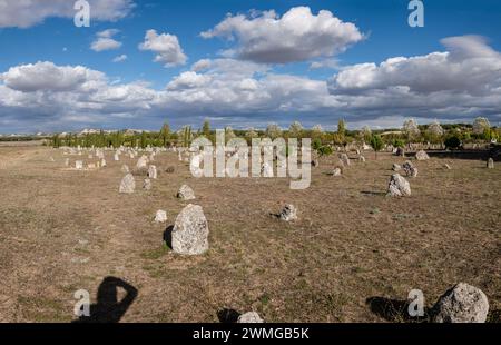 Nekropole von 'Las Ruedas', antike Vaccea-Stadt Pintia, Padilla de Duero, Provinz Valladolid, Spanien Stockfoto