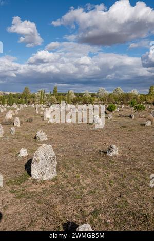 Nekropole von 'Las Ruedas', antike Vaccea-Stadt Pintia, Padilla de Duero, Provinz Valladolid, Spanien Stockfoto
