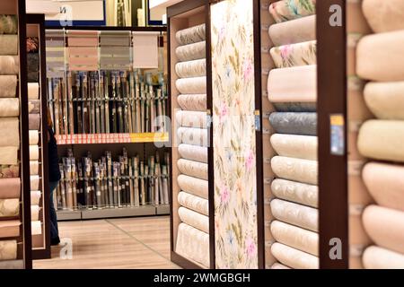 Kiew. Kiew. Ukraine. 02.21.2024.Ansicht der Regale mit Tapete für Wände in einem Geschäft. Stockfoto