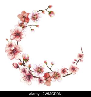 Ein blühender Zweig aus dem Frühlingsbaumkranz, Kreisschablone. Sakura-, Kirsch-, Apfel- oder Aprikosenknospen und Blütenblüten sind im Frühling Aquarellclipart zu sehen Stockfoto