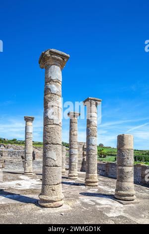 Dieses Foto zeigt die beeindruckenden Überreste der römischen Basilika in der antiken Stadt Baelo Claudia. Mehrere gut erhaltene Steinsäulen Stockfoto