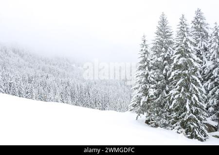 Winterlandschaft in den Bergen mit verschneitem Wald und winterlichem Himmel im Hintergrund Stockfoto