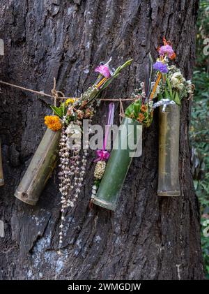 Aspekte, Ausblicke und Besucher des Wat Pha Lat Buddhistischen Tempels in den Hügeln über Chiang Mai, Thailand Stockfoto